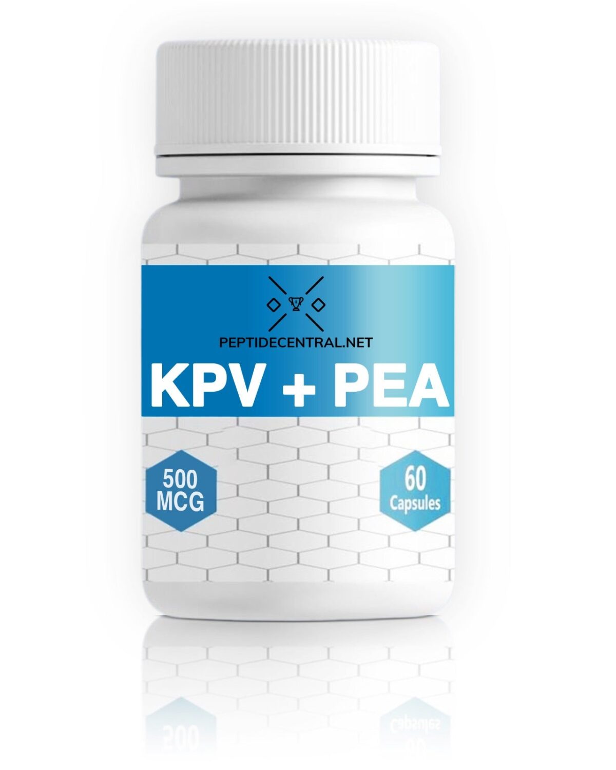 PHOTO-2024-06-13-03-45-29